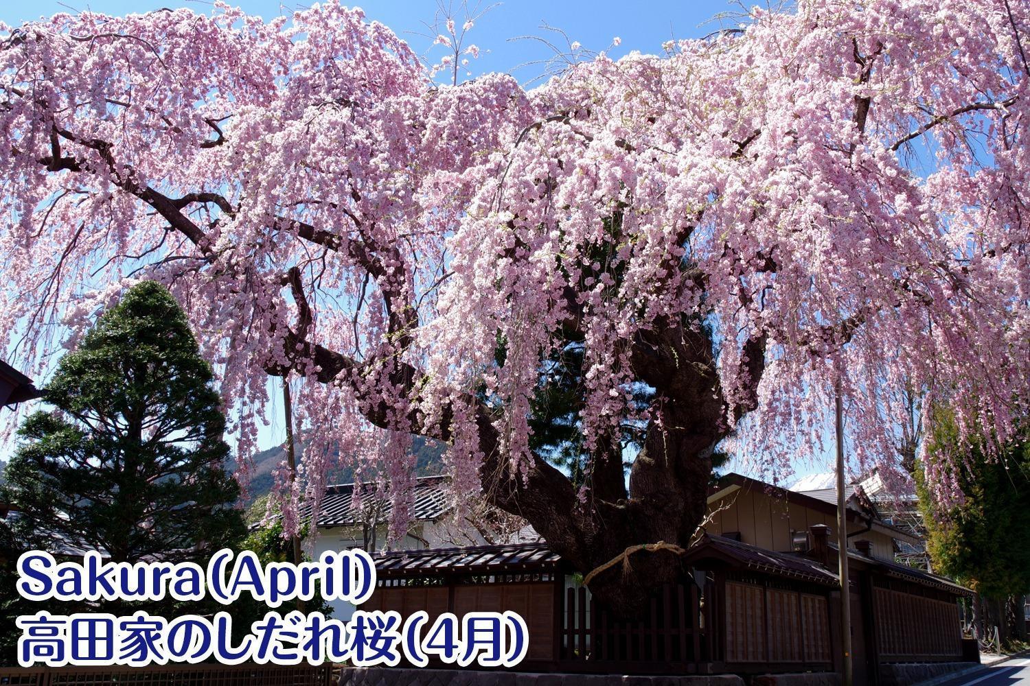 Nikko Stay House Arai - Vacation Stay 14994V Екстер'єр фото